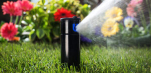 impianto irrigazione giardino sprinkler