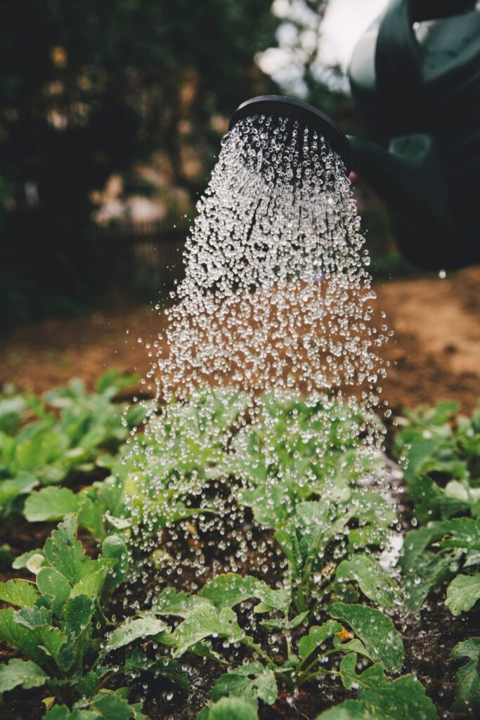 Impianto di irrigazione orto
